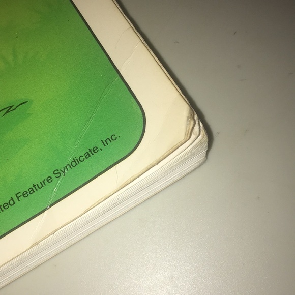 The Second Garfield Treasury circa 1983 - Picture 7 of 12